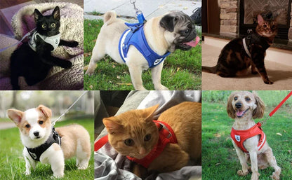 Reflective Adjustable Pet Harness Set