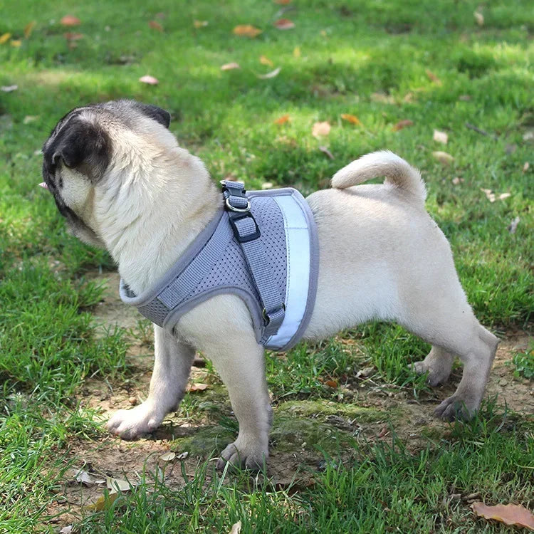 Reflective Adjustable Pet Harness Set