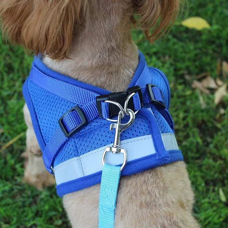 Reflective Adjustable Pet Harness Set