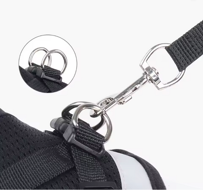 Reflective Adjustable Pet Harness Set