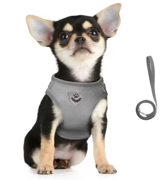 Reflective Adjustable Pet Harness Set