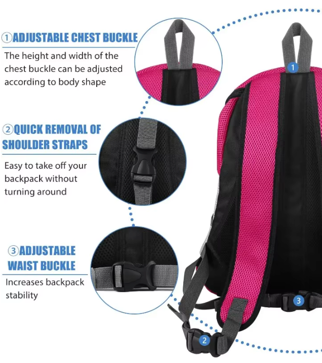 Mesh Pet Carrier Backpack