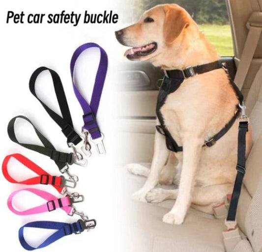 Dog sitting in a car with a pet safety harness and five color options displayed.